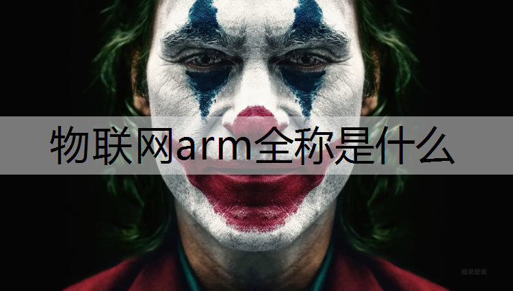 物联网arm全称是什么