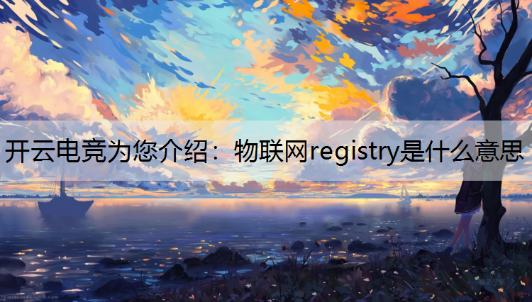 物联网registry是什么意思