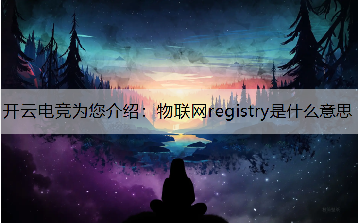 物联网registry是什么意思
