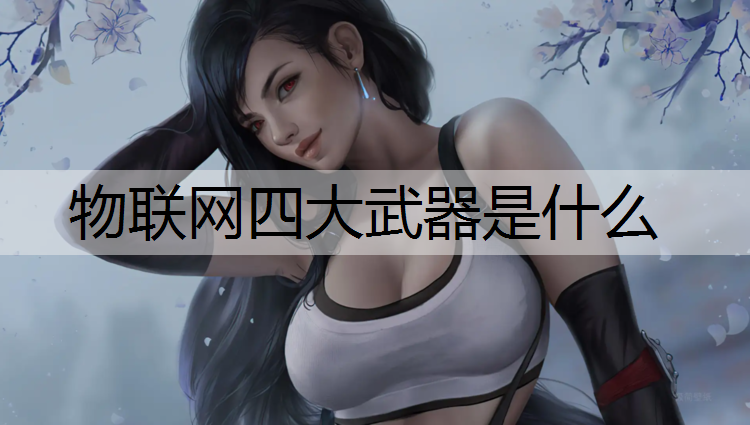 物联网四大武器是什么